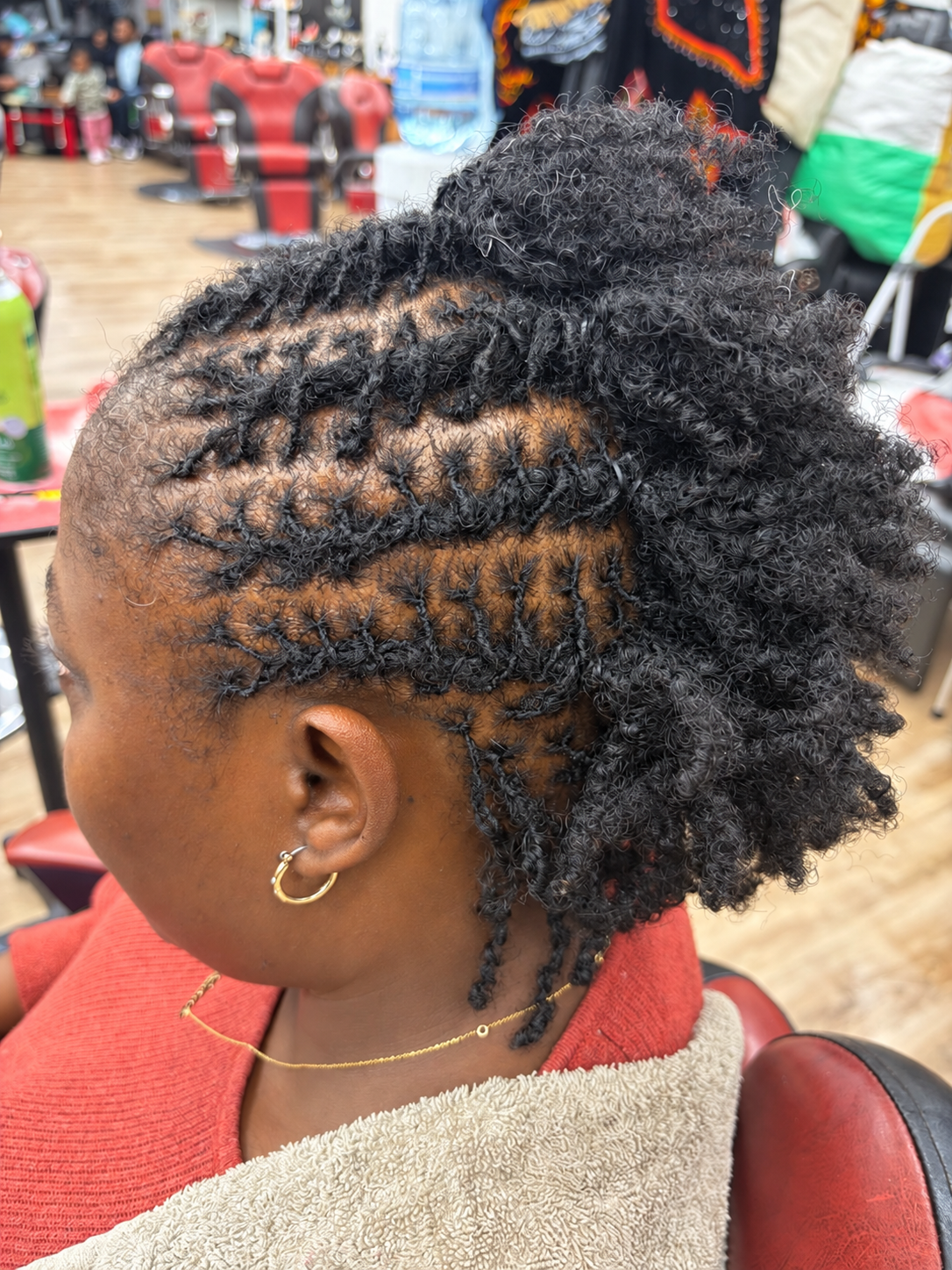 Natural twist updo at AD Blades and Braids